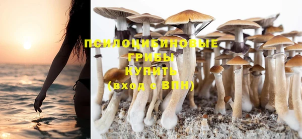 молекула духа Алексеевка
