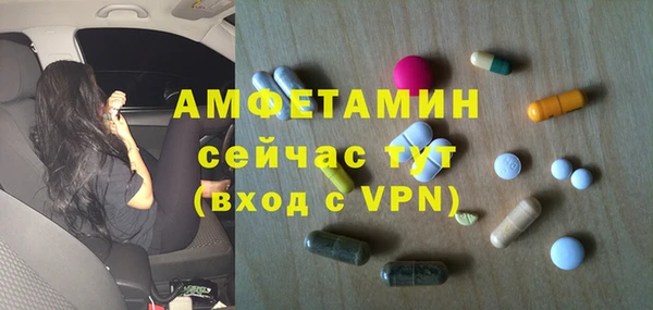 молекула духа Алексин