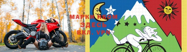 молекула духа Алексин